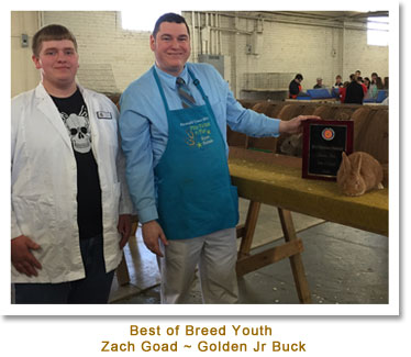 Best of Breed Youth - Zach Goad - Golden Jr Buck