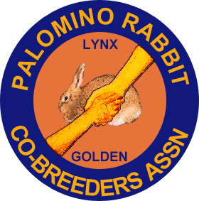 golden palomino rabbit
